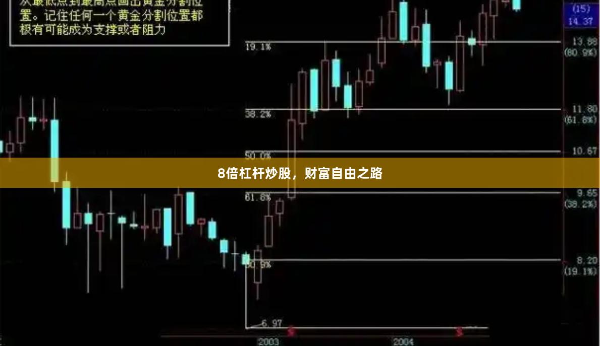 8倍杠杆炒股，财富自由之路