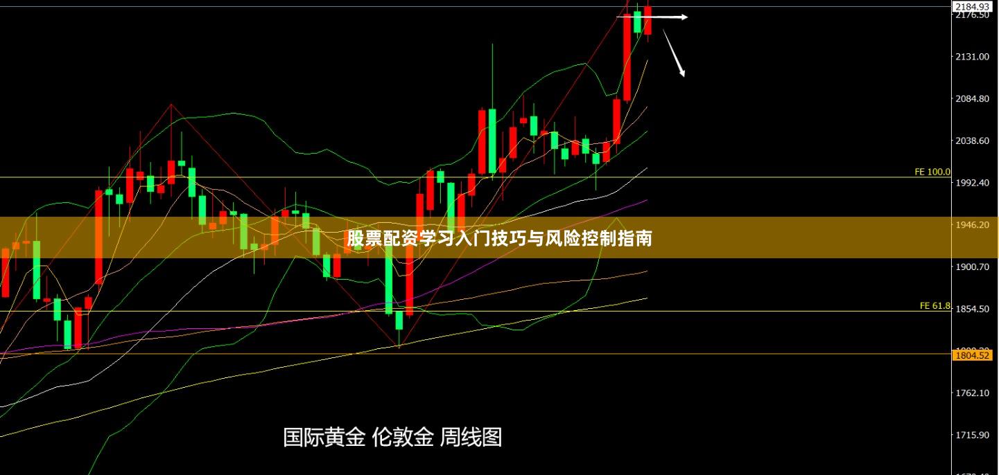 股票配资学习入门技巧与风险控制指南